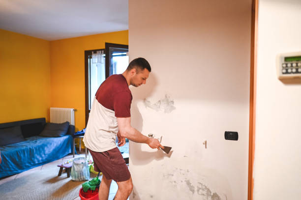 Best Toxic Mold Removal  in Oak Grove, MN