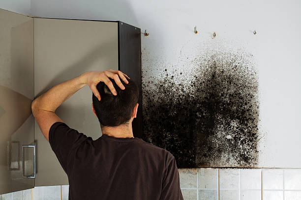 Crawl Space Mold Removal in Oak Grove, MN